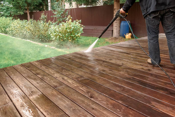 Best Solar Panel Cleaning  in Jasper, TX